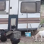 Fuer 5 Personen 70 M² * Eggesin